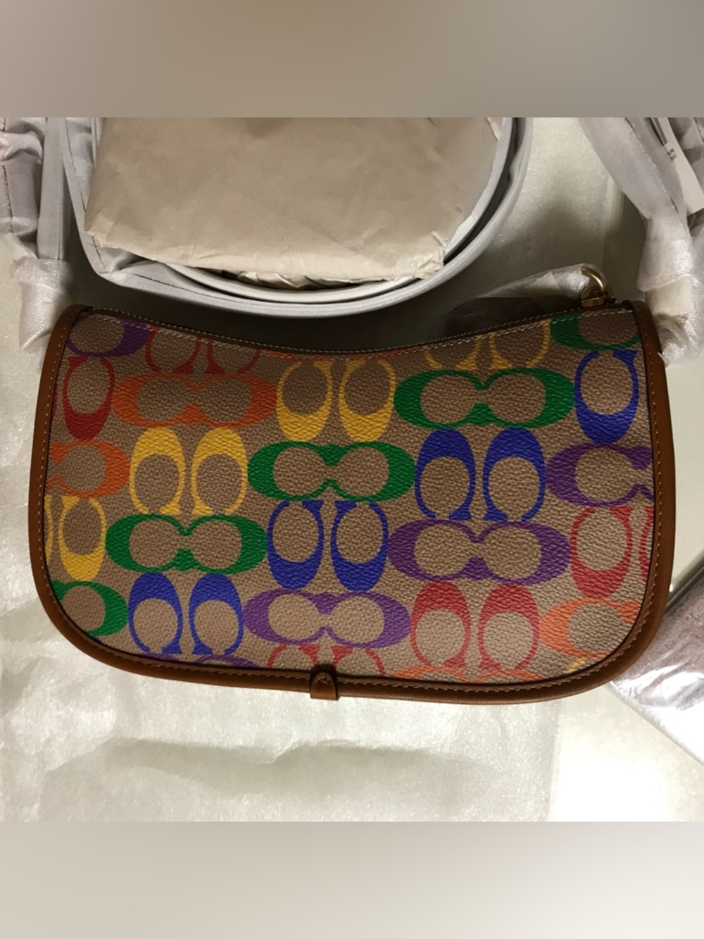 Coach Rainbow Swinger bag  ONLY